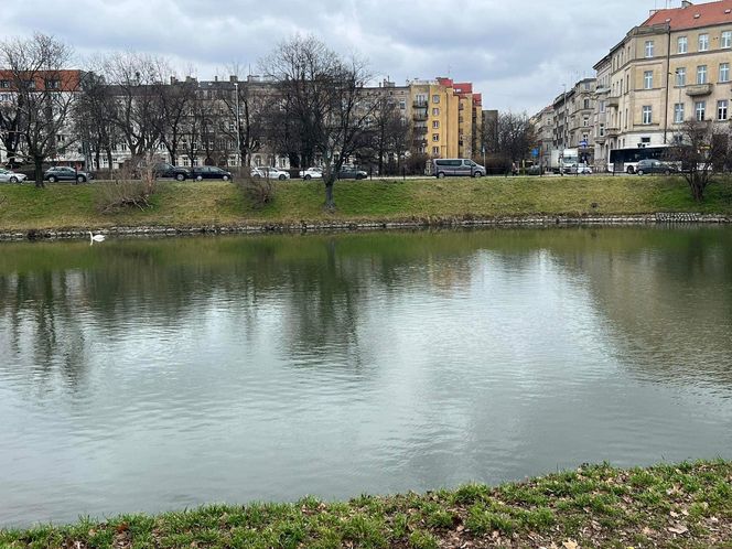 Lokalizacja projektowanej Kładki Łąbędziej we Wrocławiu