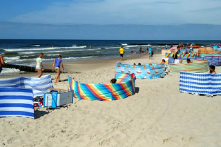 Sinice w Bałtyku. Zamknięte plaże, zakaz kąpieli w Trójmieście i okolicach