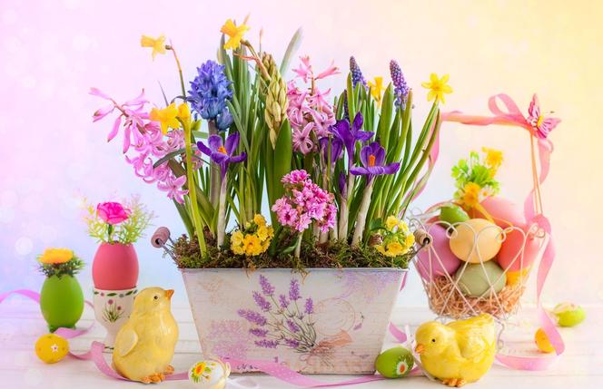 Kwiaty na Wielkanoc