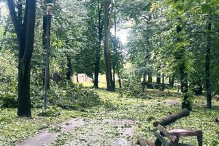 Armagedon w Kielcach i Świętokrzyskiem! Nawałnica wyrządziła dużo szkód