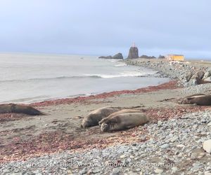 Antarktyka, moduły w kontenerach dotarły na Wyspę Króla Jerzego