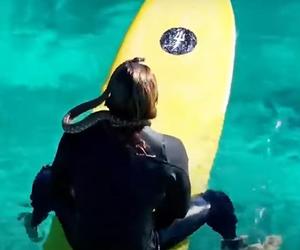 Australijczyk surfował z pytonem! Został ukarany karą grzywny 