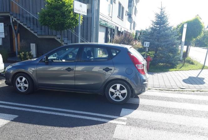 Mistrzowie parkowania w Katowicach nie boją się mandatów