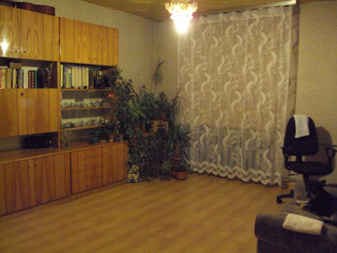 Zdjęcie 4949