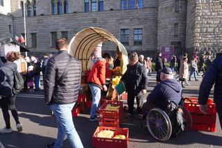 Wielki powrót! Imieniny ul. Św. Marcin 2023. Tłumy poznaniaków i Wielkopolan