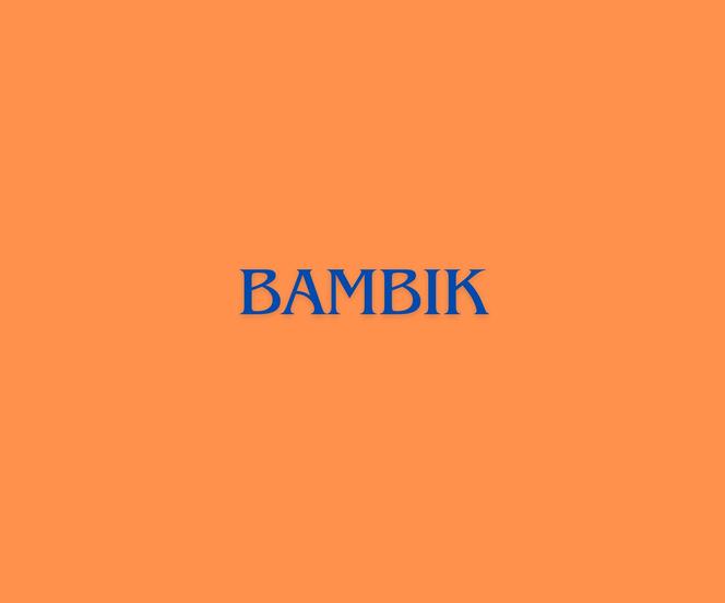 Młodzieżowe Słowo Roku 2023 - Bambik 
