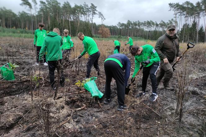 Nowe drzewa za strzelone gole. Wyjątkowa akcja Warty Poznań. Finał drugiej edycji akcji „Ale Zasadził!”