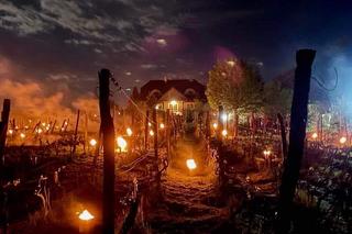 Winnica Miłosz w Łazie