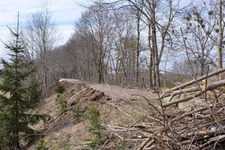 Nowa ścieżka rowerowa Olecko – Gordejki Małe. Będzie przebiegać po trasie dawnej linii kolejowej [ZDJĘCIA]