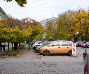 Kolorowe drzewa i klimatyczne kamienice. Ta ulica w Olsztynie zachwyca jesienią [ZDJĘCIA]