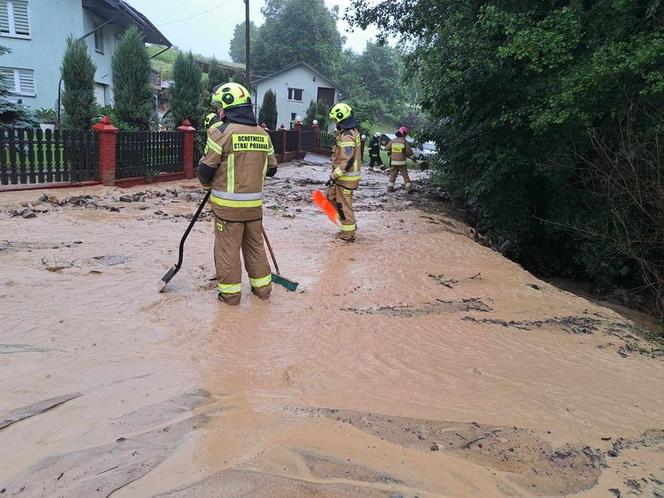 Zalane posesje na Podkarpaciu. Strażacy interweniują od wczesnych godzin 