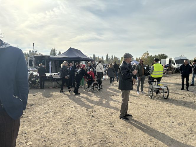 Niedzielny Targ - nowy pchli targ w Poznaniu