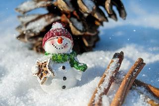 Na Podkarpacie nadciąga zima: Weekend 28-29 listopada będzie zimny i spadnie śnieg!
