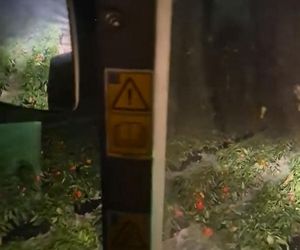 Rolnik rozdają paprykę za darmo! Ceny na skupie to dramat