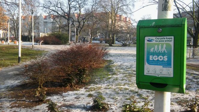 Miejskie przebiśniegi... czyli slalomem po chodniku i nie tylko!