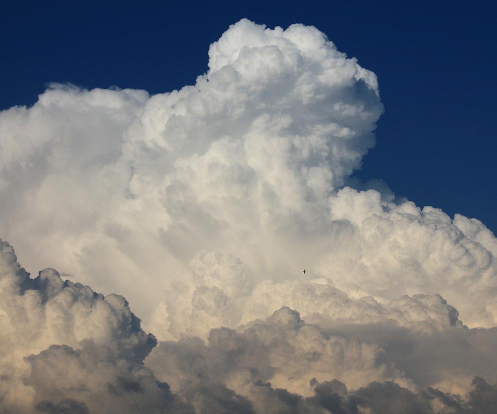 Chmury zakryją niebo, ale warunki atmosferyczne poprawią nastrój [Pogoda Toruń 10.11.2022]