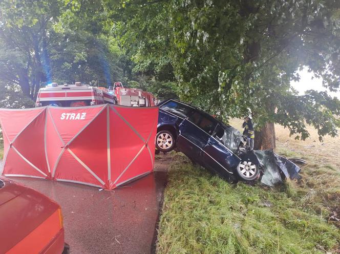 Śmiertelny wypadek w Małej Wsi pod Radomskiem