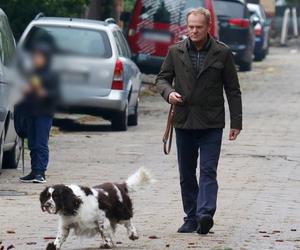 Donald Tusk na spacerze z Portosem