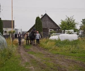 Agnieszka i Jarek z Bronowa - tak żyją bohaterowie Rolnicy Podlasie