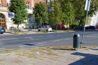 Radni chcą odbetonować Szczecin