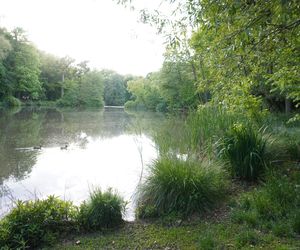 1. Park Sołacki 