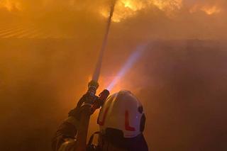 Gigantyczny pożar kurnika. Jęzory ognia strawiły cały budynek. Spłonęło 25 tysięcy młodych pisklaków!