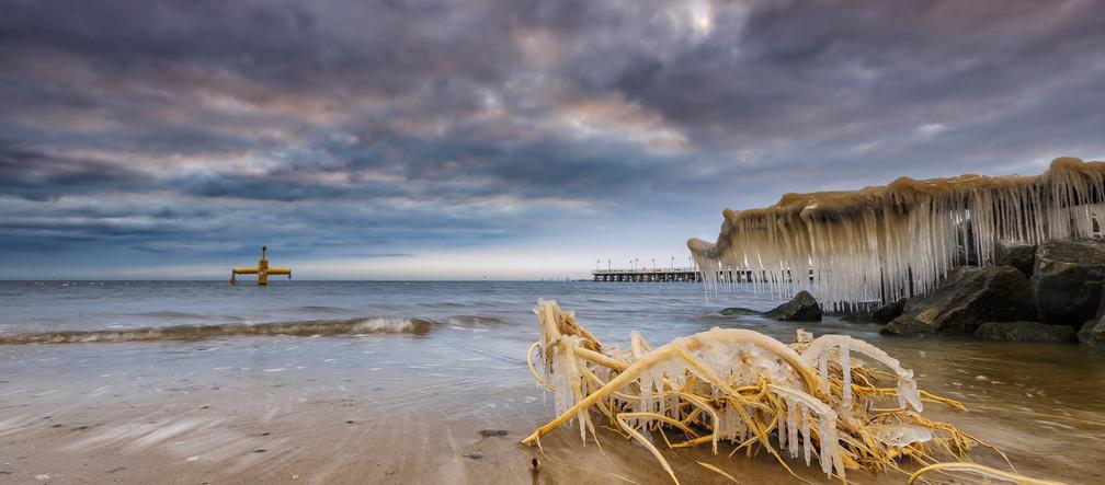 Orłowo w obiektywie