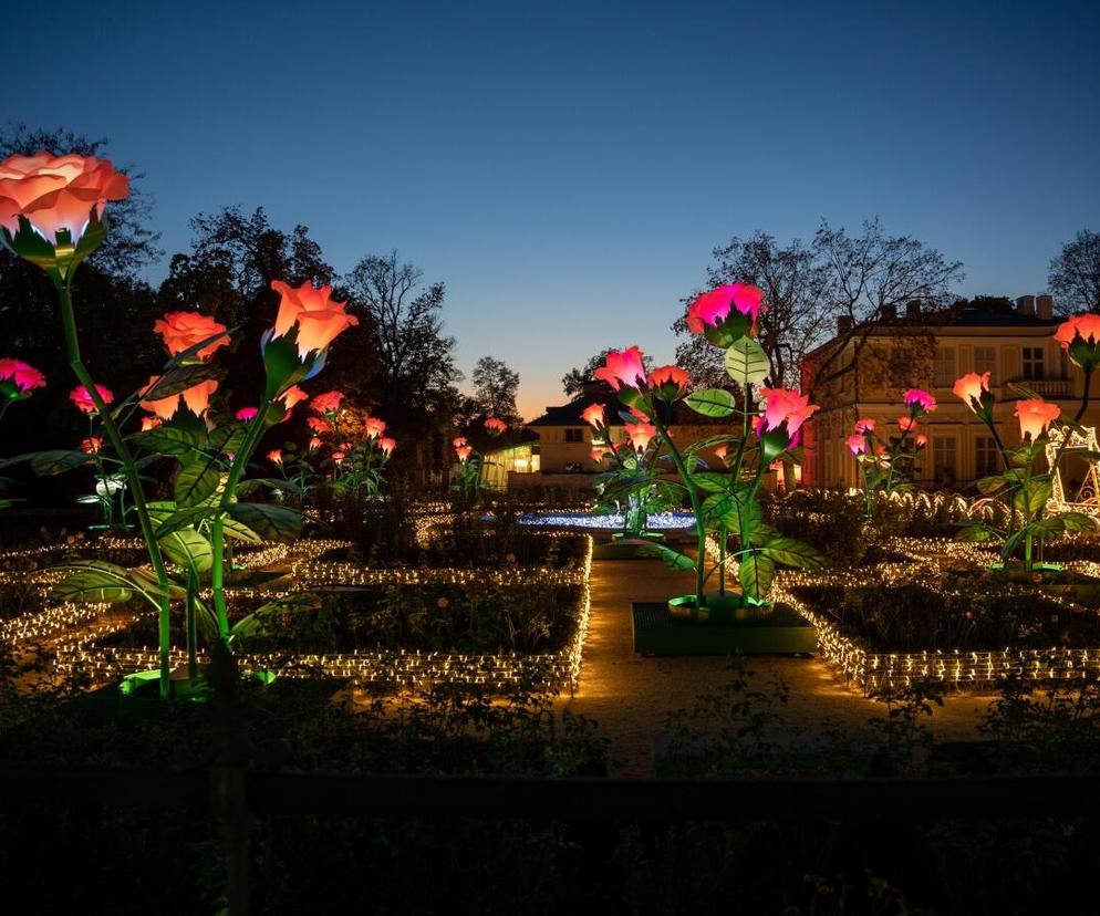 Królewski Ogród Światła - zdjęcia iluminacji w warszawskim Pałacu Wilanów