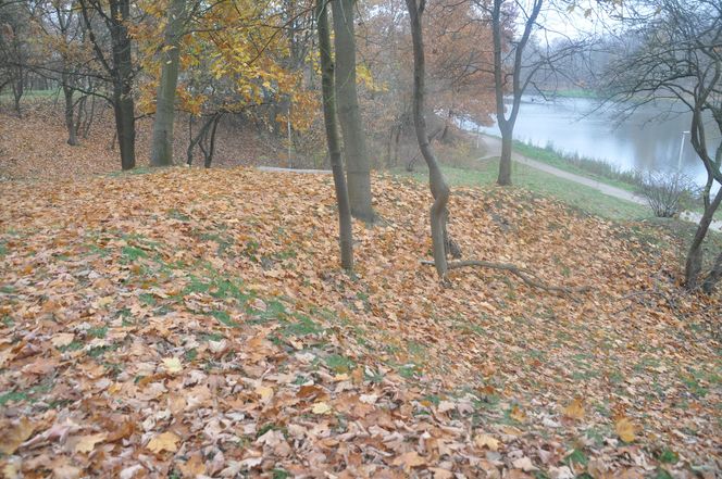 Jesień na Osiedlu Świętokrzyskim i Szydłówku w Kielcach