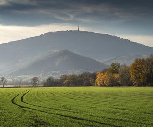 TOP 10 najbardziej poetyckich nazw wsi i miejscowości w województwie śląskim