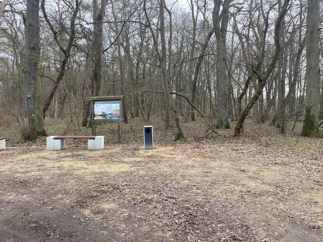 Zmiany w Parku Odrzańskim w Zielonej Górze. Zobacz jak wygląda obecnie