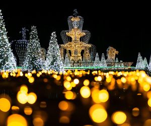 Królewski Ogród Światła w Wilanowie