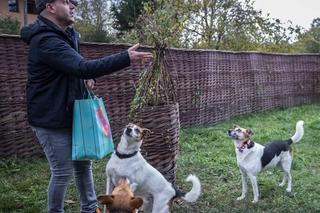 Obdarowali psiaki na dzień kundelka