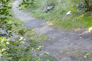 Zatrzymali swoje auta i pozbyli się śmierci! Wszystko pod okiem kamer [ZDJĘCIA]