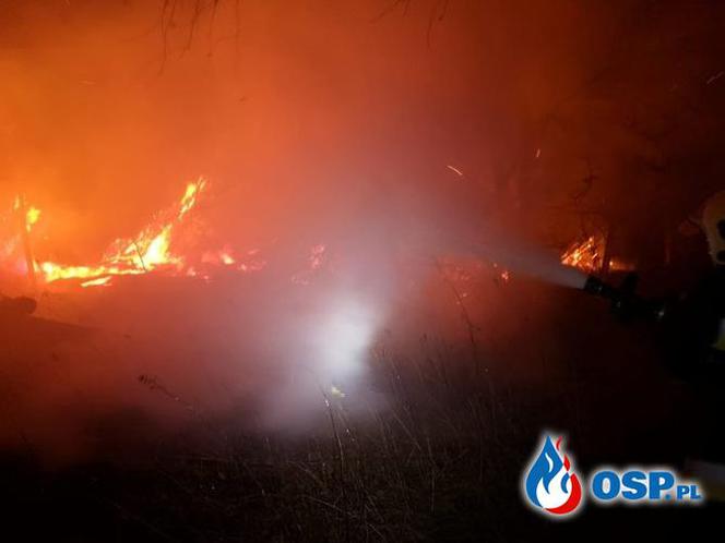 Obrazy jak z HORRORU! Drewniany budynek doszczętnie spłonął 