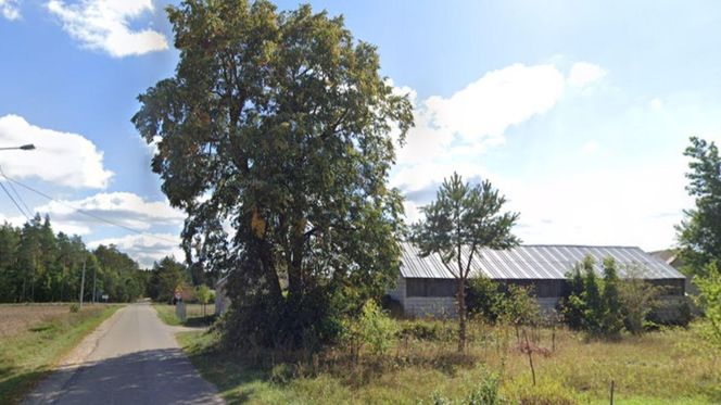 Woźnawieś na Podlasiu
