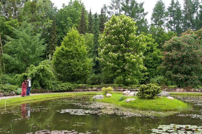 Arboretum w Rogowie