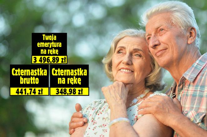 14. emerytura