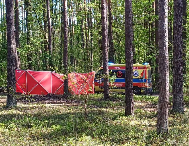Tragedia na Lubelszczyźnie. 14-latka zginęła po upadku z konia