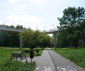 Wakacyjny spacer pod kładką nad wąwozem na Czubach. To jedno z najbardziej zielonych miejsc w Lublinie!