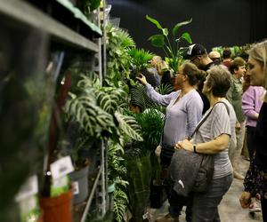 Festiwal roślin w Katowicach przez weekend w MCK
