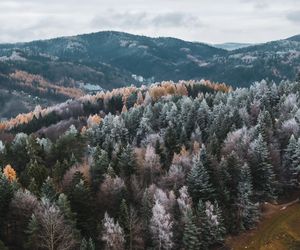 Najpiękniejsza wieża widokowa w Małopolsce w zimowej scenerii. Już zapraszają turystów 