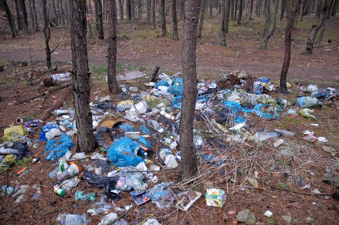 Kary dla leśnych śmieciarzy zdecydowanie w górę