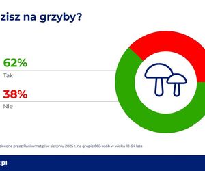 Grzyby w Polsce