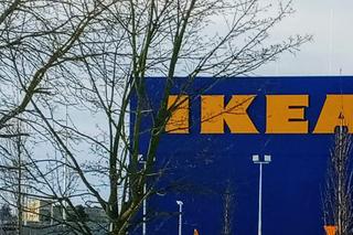 IKEA w Szczecinie na ostatniej prostej. Prezeska firmy zdradziła kilka WAŻNYCH szczegółów!