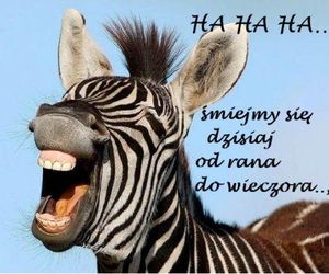 Kartki i grafiki na Prima Aprilis 2025. Pobierz za darmo i świętuj 1 kwietnia z humorem!