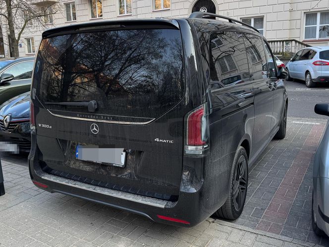 Ibisz powiększa rodzinę