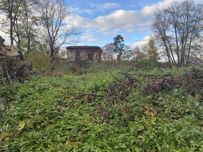 Zamek w Dąbrówce Starzeńskiej