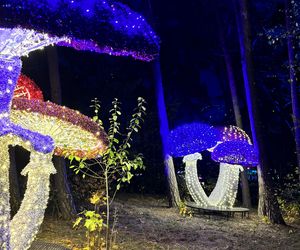 Otwarcie Lumina Parku w Poznaniu. Tegoroczne świecące miasteczko robi fenomenalne wrażenie!