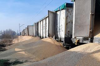 Za transport kukurydzy rozsypanej w Kotomierzu odpowiadała katowicka firma